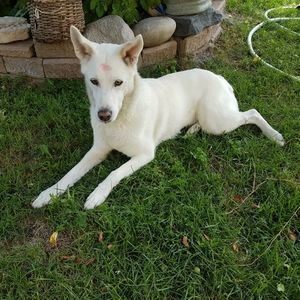 Meet your Posher, Jillian